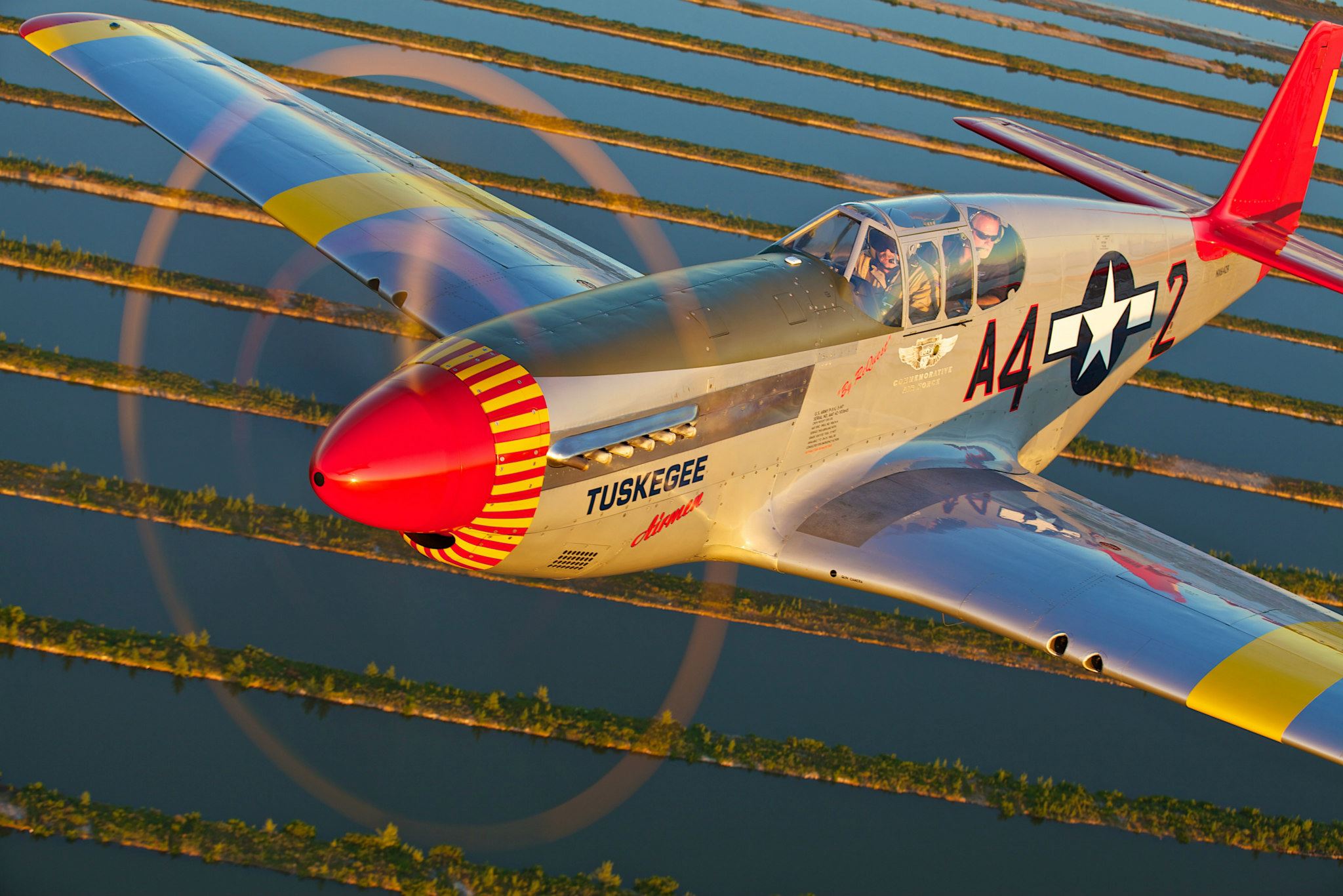 Tuskegee Mustang